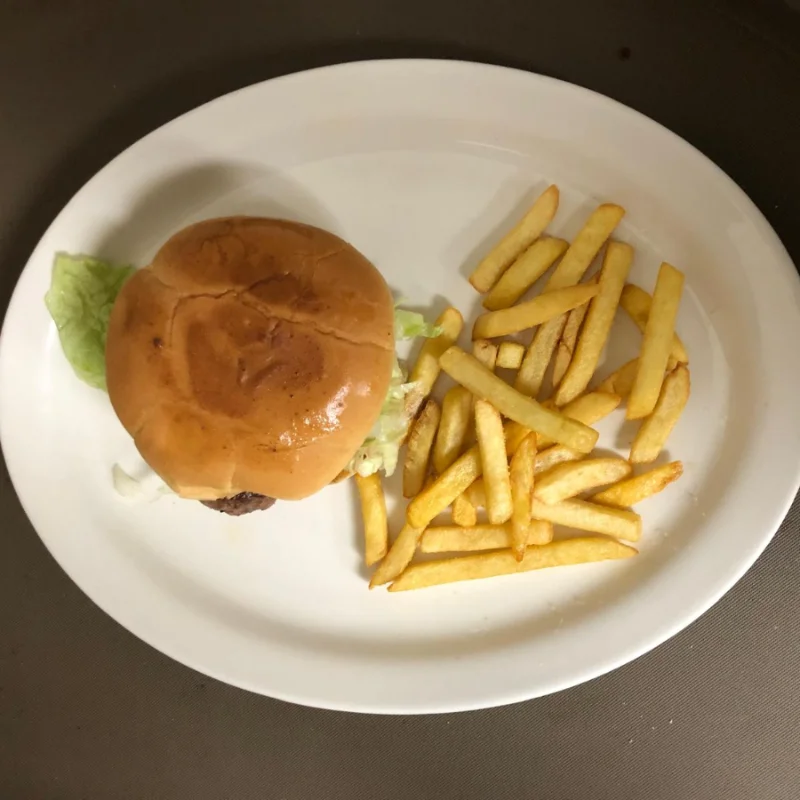Salmon Burger + Fries + Drinks
