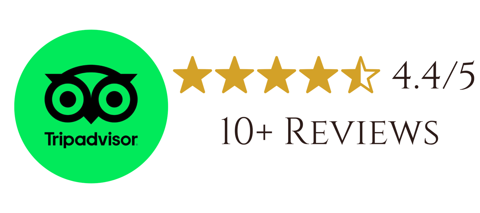 Tripadvisor Reviews